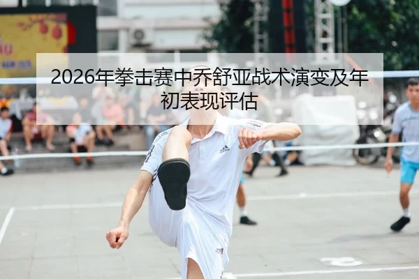 2026年拳击赛中乔舒亚战术演变及年初表现评估