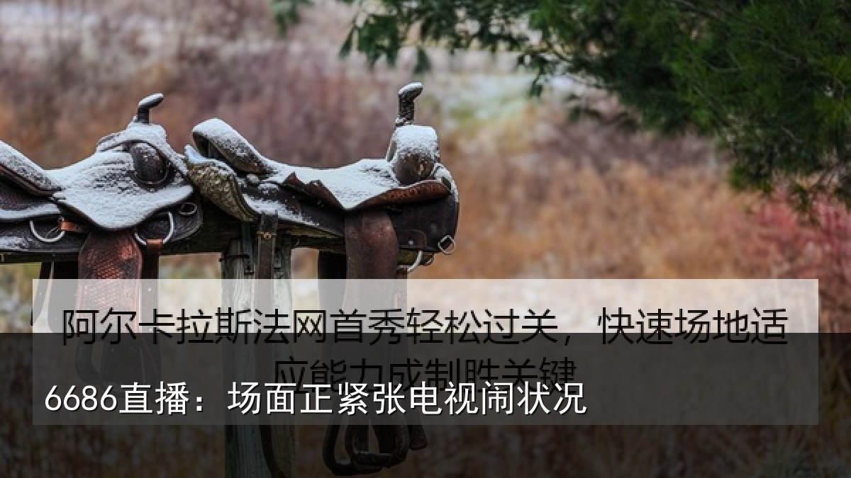 6686直播：场面正紧张电视闹状况