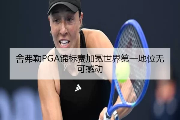 she-fu-lei-jin-biao-sai-jia-mian-shi-jie-di-yi-di-wei-wu-ke-han-dong-2-521.jpg