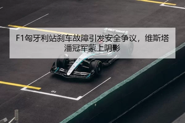 xiong-ya-li-zhan-sha-che-gu-zhang-yin-fa-an-quan-zheng-yi-wei-si-ta-pan-guan-jun-meng-shang-yin-ying-3-969.jpg