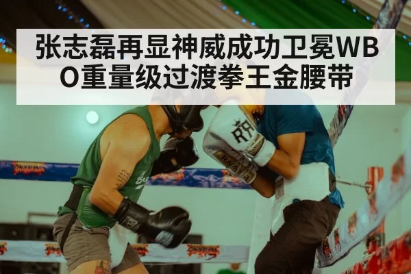 张志磊再显神威成功卫冕WBO重量级过渡拳王金腰带